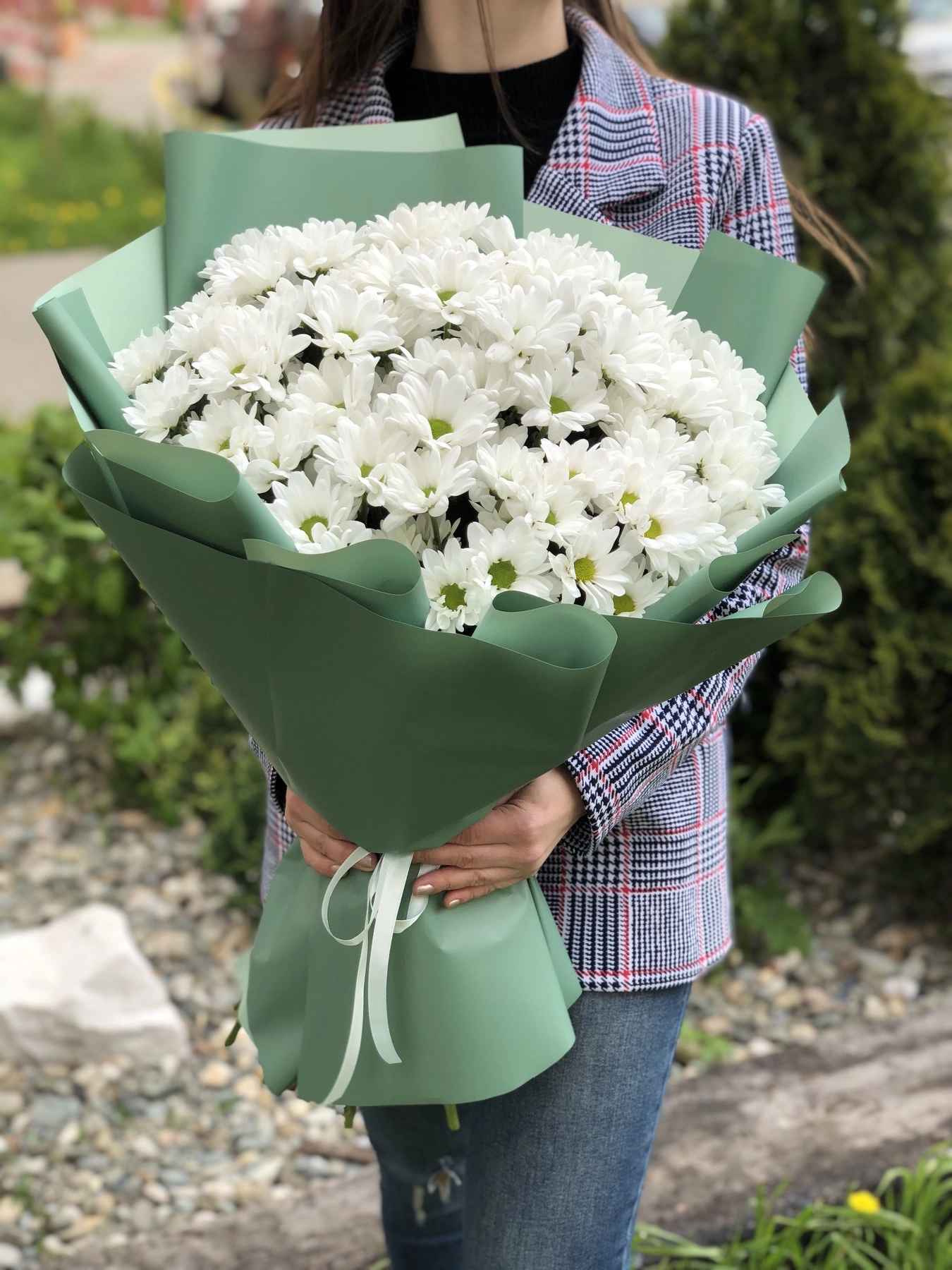 Картинка Букет "Амур" из 15 хризантем сорта Бакарди Картинка Букет "Амур" из 15 хризантем сорта Бакарди