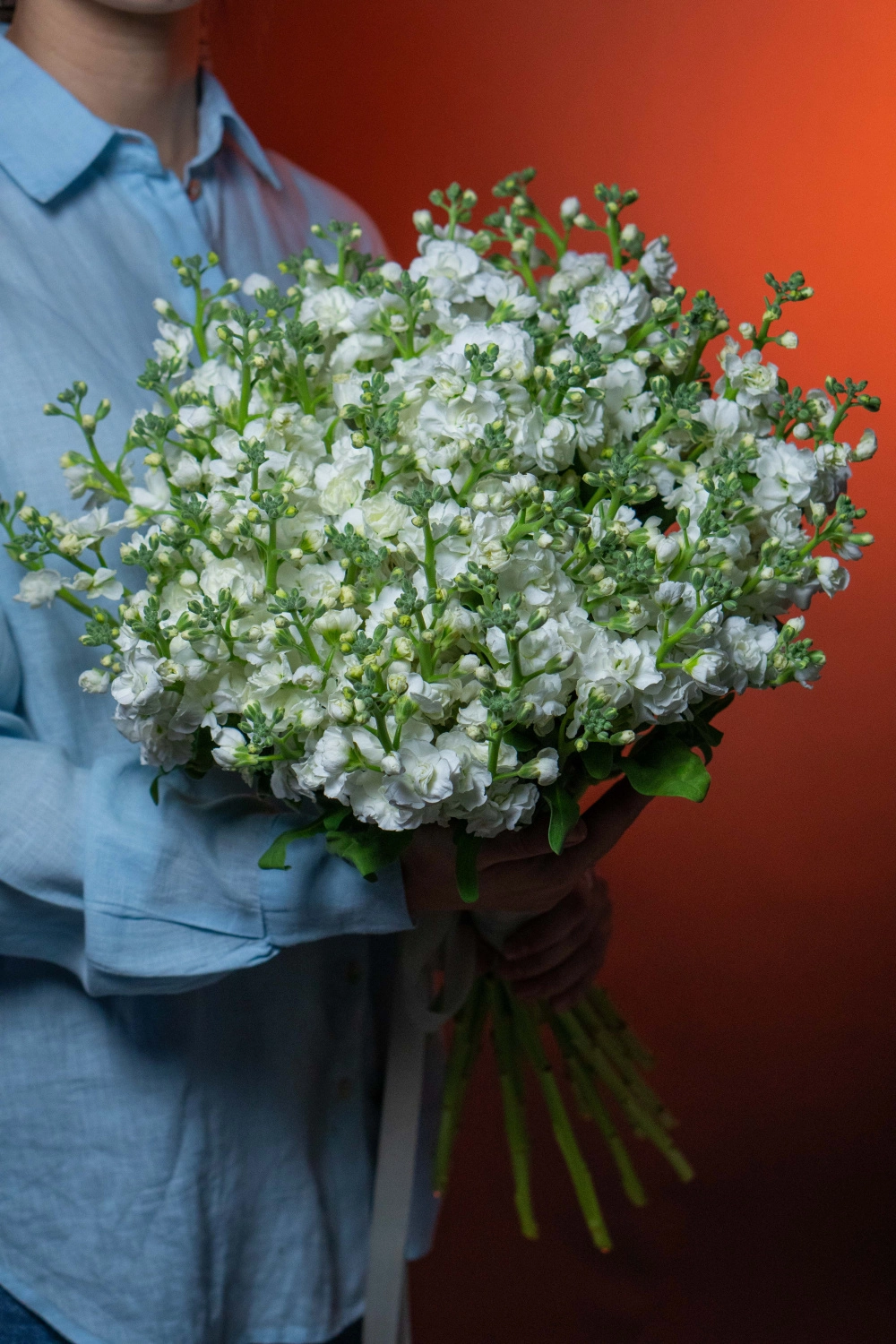 Букет из 21 кустовой Маттиолы