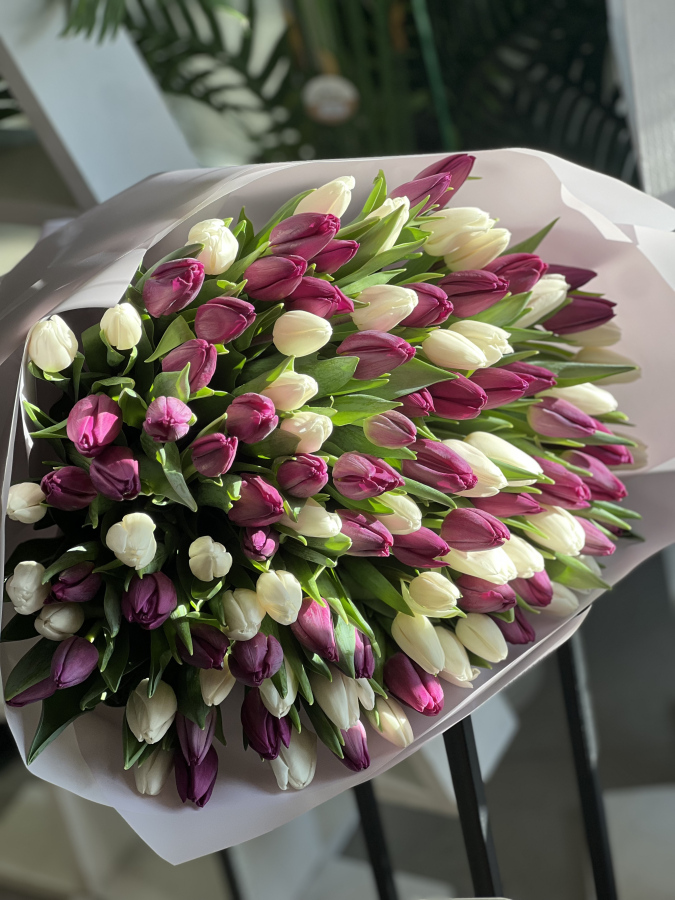 Картинка Букет из 101 тюльпана  "Фиалка"