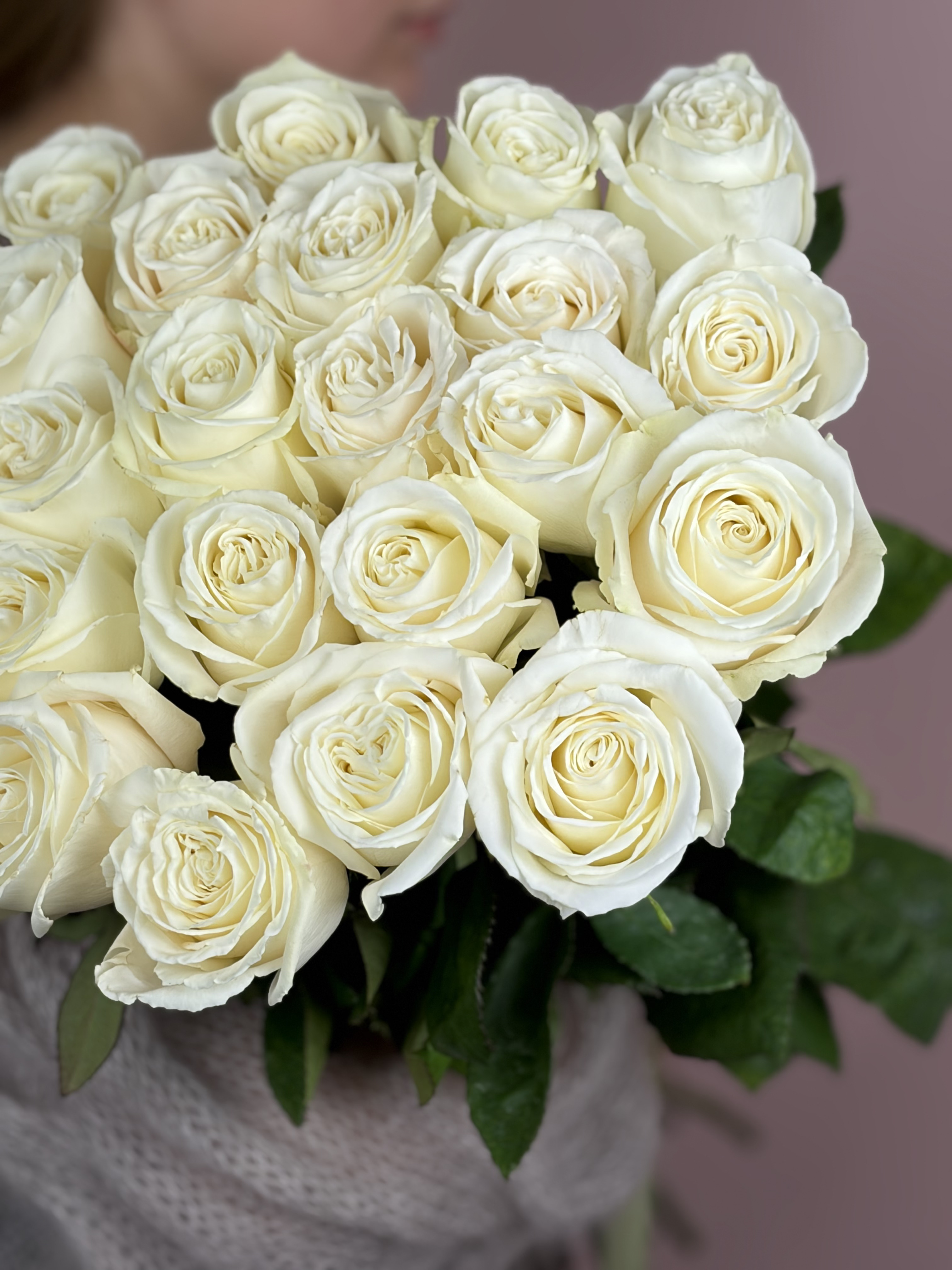 Картинка Букет из 25 роз сорта Плайя Бланка 40см