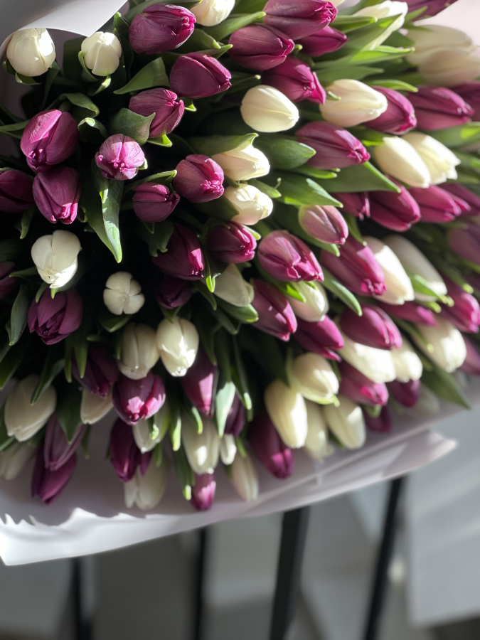 Картинка Букет из 101 тюльпана  "Фиалка"
