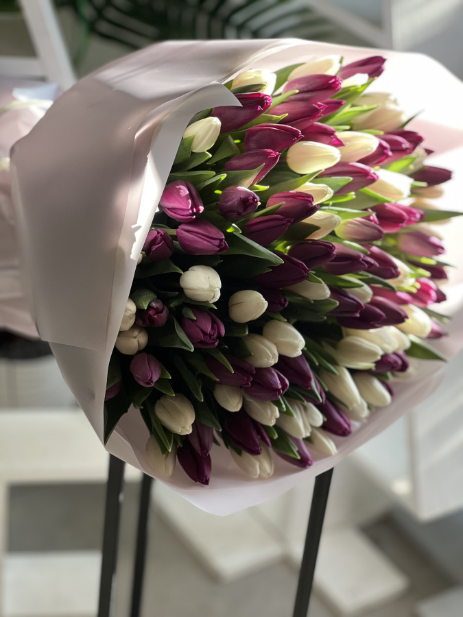 Картинка Букет из 101 тюльпана  "Фиалка"